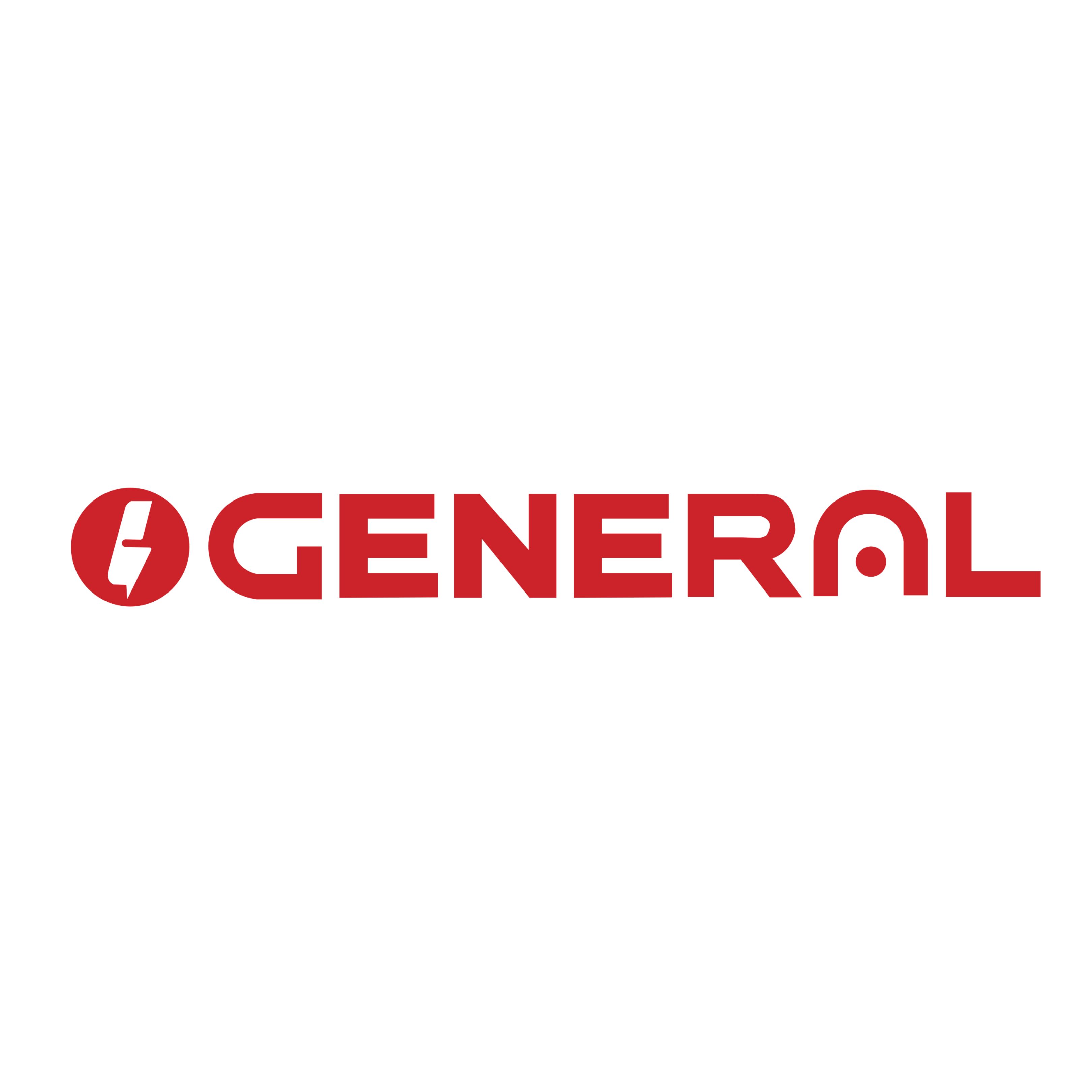 Logo 30