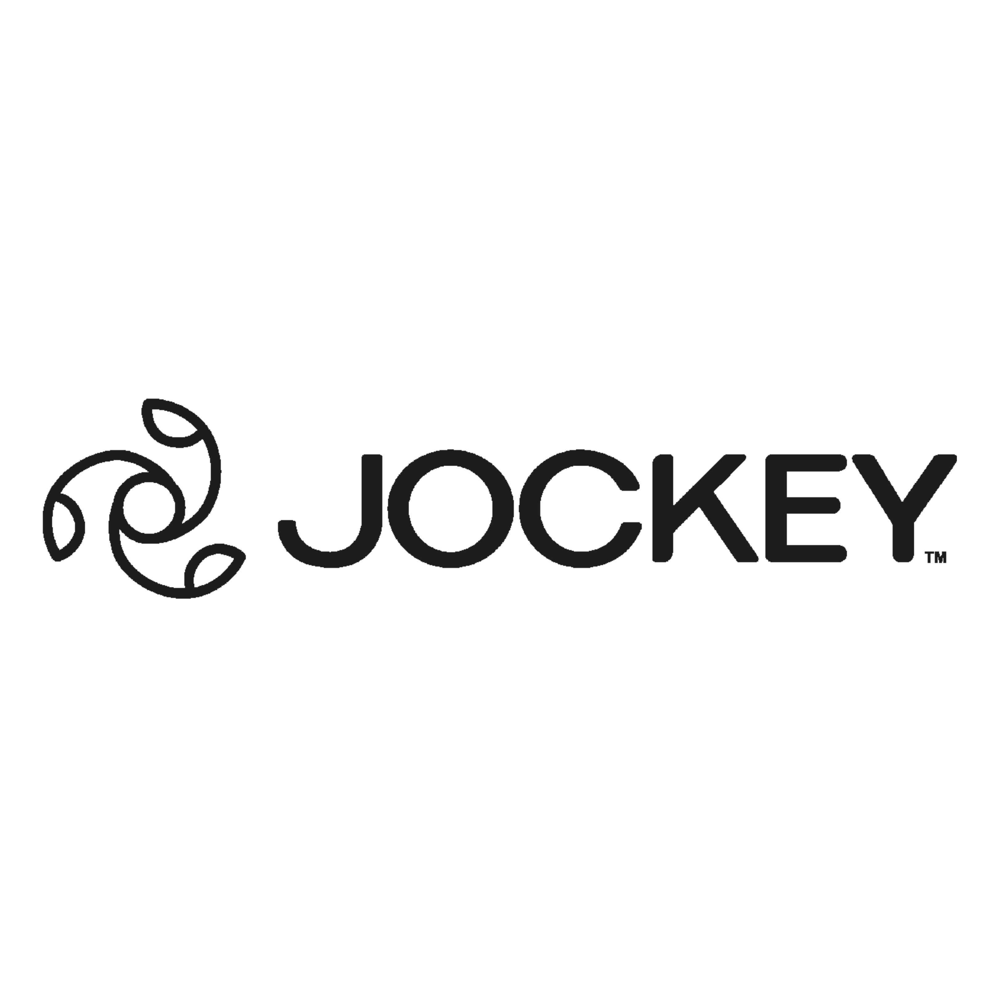 Logo 33